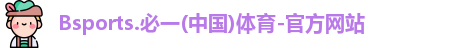 B体育官网